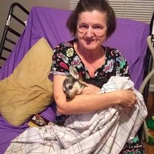 Meet your Posher, Nancy